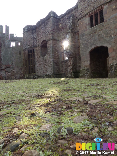 FZ035665 Sun shining onto Raglan castle courtyard